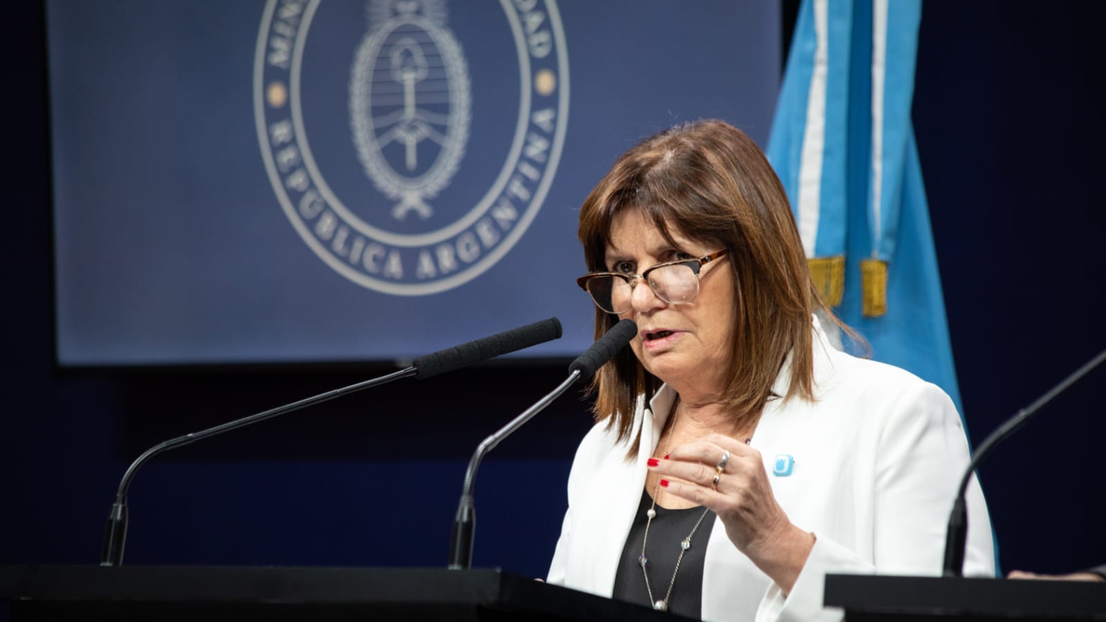 Argentina desarticula célula del Tren de Aragua en operativo liderado por la ministra Patricia Bullrich
