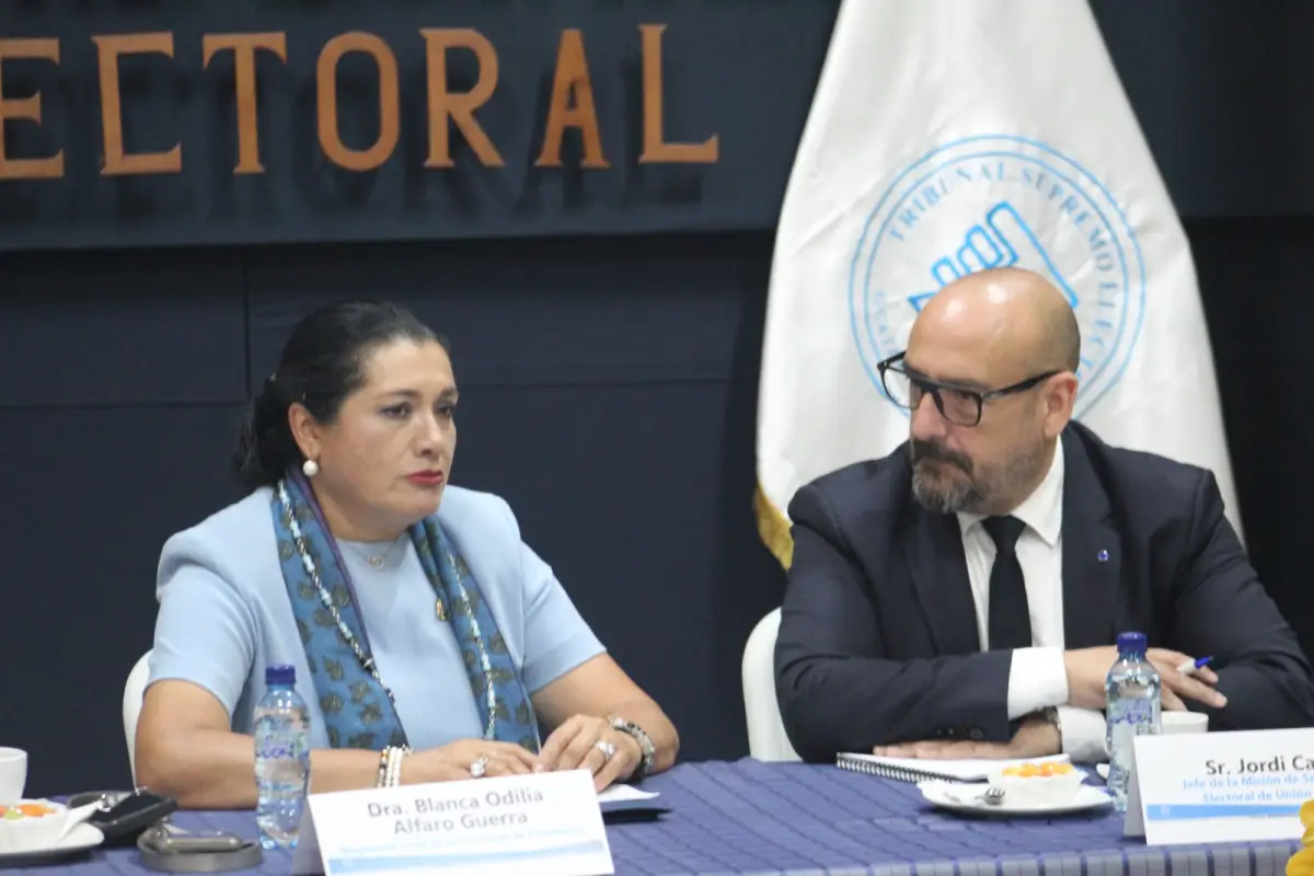 Presidenta del TSE se reúne con delegado de la Unión Europea para fortalecer la democracia