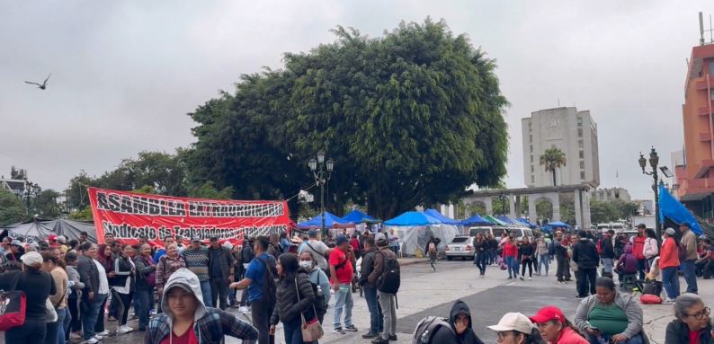 STEG mantiene protestas en la Plaza de la Constitución con respaldo judicial